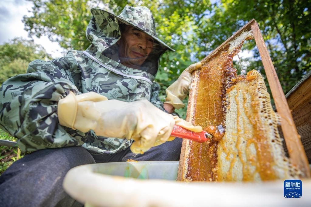 ag客户端下载